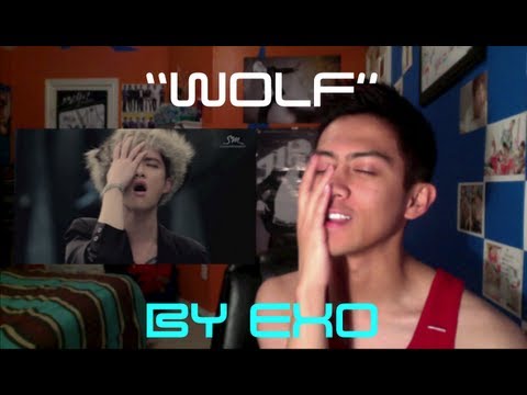 wolf