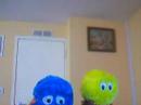 Jubjub and Fuzzball\ Jubjub and Fuzzball\