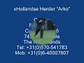 xHH Arko (Dhr. L. Kikkert, Lettele, The Netherlands)