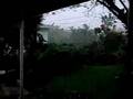 videos de Hurricane Wilma
