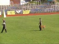 Preview video <strong>Mistrovstv� ČR Belgick�ch ovč�ků - Třeb�č - 2011</strong>