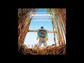 Rudimental; Jess Glynne; Macklemore; Dan Caplen - These days