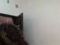 conjugando verbos