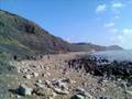Fossil hunting (Collecting) at Charmouth Dorset