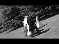 R & M Wedding R & M Wedding