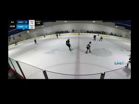 Shorthanded goal assist