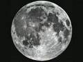 FIGLIO DELLA LUNA