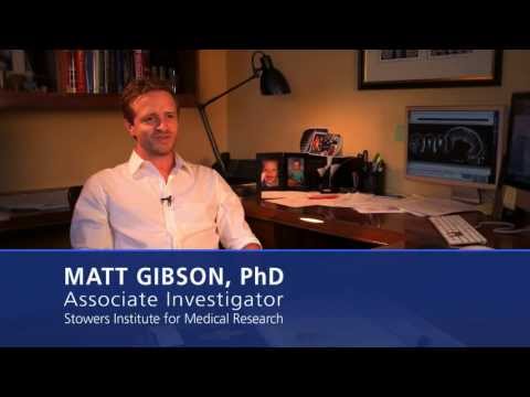 how to isolate intestinal epithelial cells