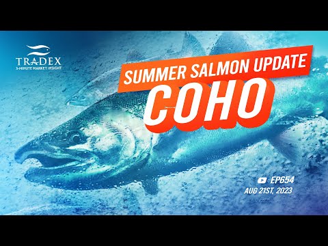 3MMI - 2023 Summer Salmon Update: Coho Salmon