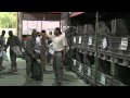 Просмотр видео