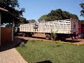 ford cargo 4030 carreta boiadeira ford cargo 4030 carreta boiadeira