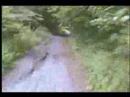 XR250 4 XR250 4
