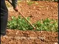 Agroturismo Alfatx, Mallorca