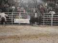 Rodeio Altinopolis 2009