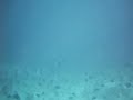 2 raie.maldives elaidhoo