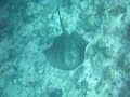 2 raie.maldives elaidhoo