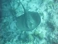 2 raie.maldives elaidhoo