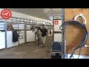 Cavalia Um Sonho de Liberdade em Outubro no Passeio Mar�timo de Alg�s Nos Bastidores