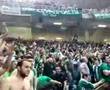 final four athens 2007 - pao fans 2: horto magiko צהוב עכשיו