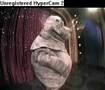 horny manatee [[<b>conan</b> o brian]]