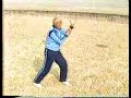 San quan Grandmaster Wang Yinghai 60...