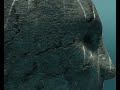 Underwater Test