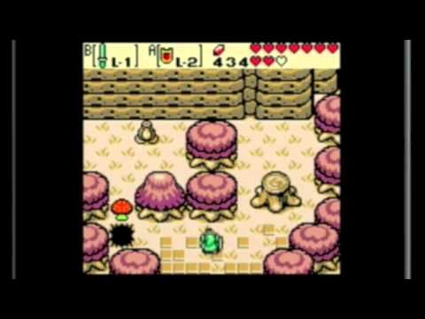 how to drain the lake in zelda