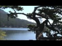 how the west coast rocks edit 6