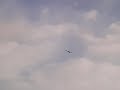 R.C  bird glider.planeur d\