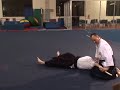 Aikido Weapons Techniques : Aikido Weapons: Tantodori Knife Disarming Side Entry Throw