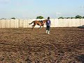 Ruby lunge canter