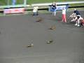 Finals Race