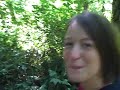 DriveAbout 108 - Redwood National Park, CA