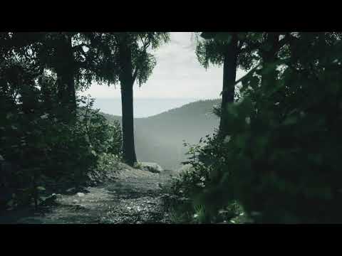 UE4 scenic forest view - 1 hour speed level design