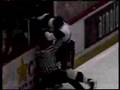 Hockey Fights and Fan Brawls