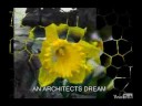 Inspiration-sublime peace-subliminal-makevideo