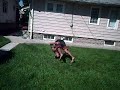 RO BHS back tuck BAIL!!!! RO BHS back tuck BAIL!!!!