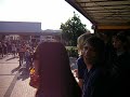 Erdmännchen blähen sich auf und verursachen Ziste zu schöner Musik.
