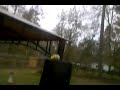 Pine tree getting cut down