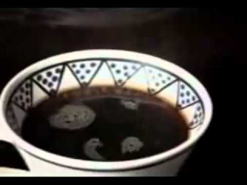 Terence McKenna - Cannabis, Health and Society