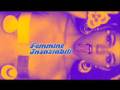 videos de EDDA DELL'ORSO/ BRUNO NICOLAI -