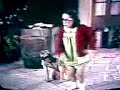 Chaves & Chiquinha - Peludinho Chaves & Chiquinha - Peludinho