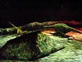 Walking With Dinosaurs