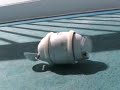 Sony Rolly At Sea, Thanks to Brittany Ferries