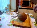 Coconut