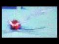 Sajni (Slow version)