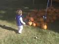 videos de J HoeDown 2