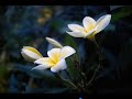 Yunus Emre - A?ks?zlara Verme �?�t