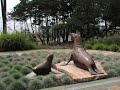Landscape Design Work Landscape Design Work