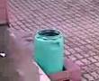 videos de oi oi oi